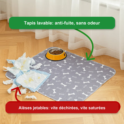 Le seul tapis de propreté dont votre chien aura besoin