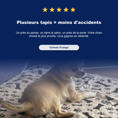 Le seul tapis de propreté dont votre chien aura besoin