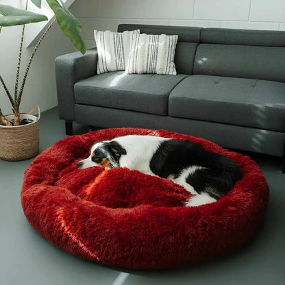 Coussin Anti-Stress Pour Chien