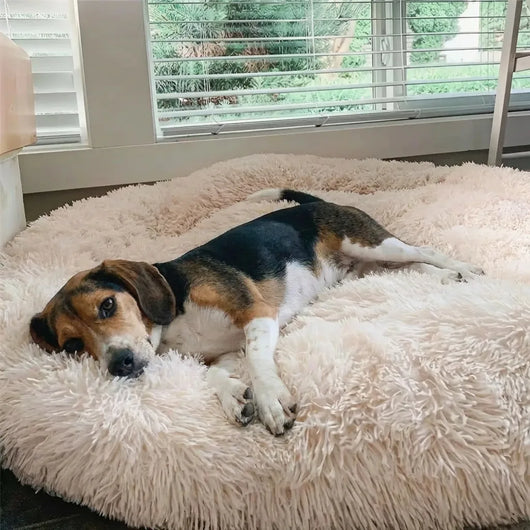 Panier Anti-Stress pour Chien – Coussin Apaisant