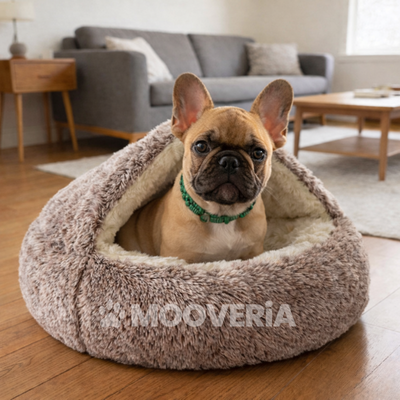 Panier Cocon Apaisant pour Chien