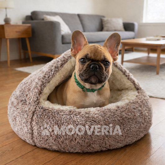 Panier Cocon Apaisant pour Chien