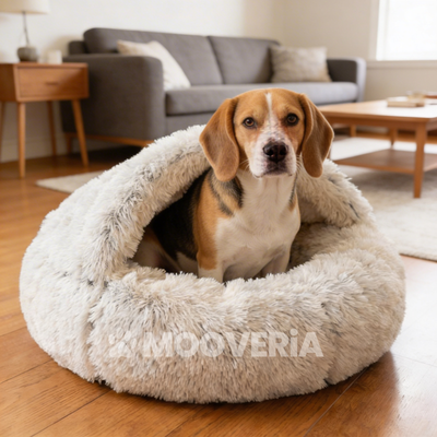 Panier Cocon Apaisant pour Chien