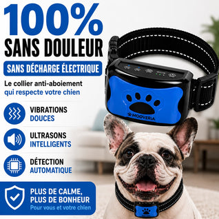 Collier anti-aboiement sans décharge
