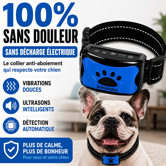 Collier anti-aboiement sans douleur