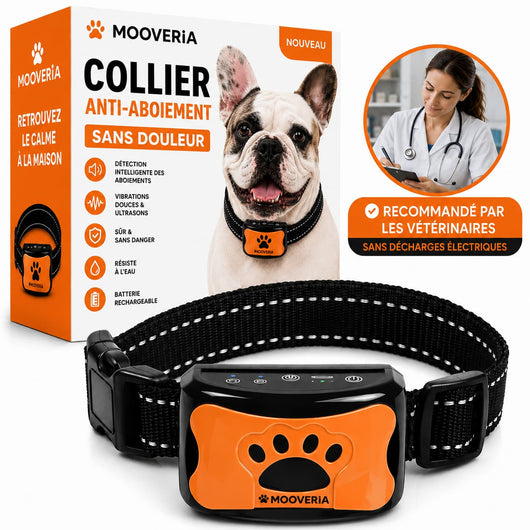 Collier anti-aboiement sans douleur