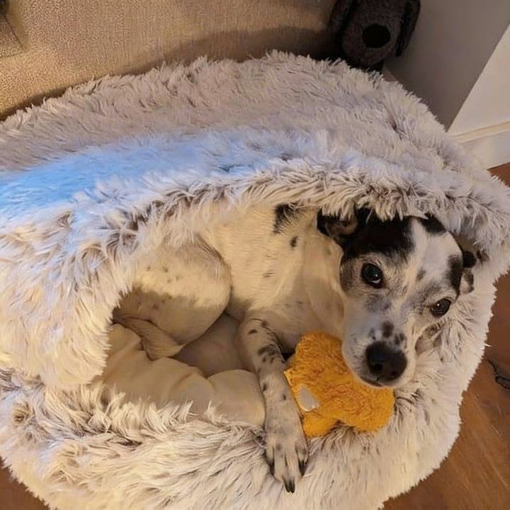 Review by Eric