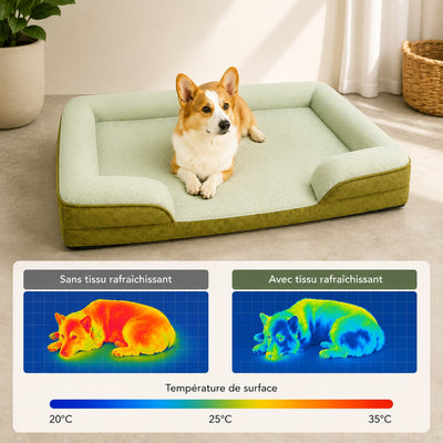 Panier Fraîcheur pour Chien – Confort Été
