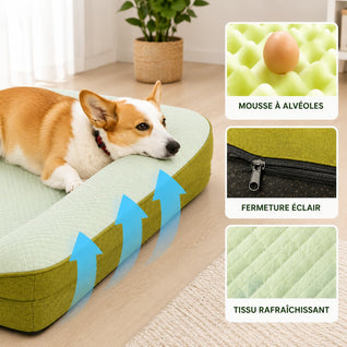 Panier Fraîcheur pour Chien – Confort Été