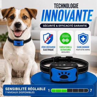 Collier anti-aboiement sans décharge