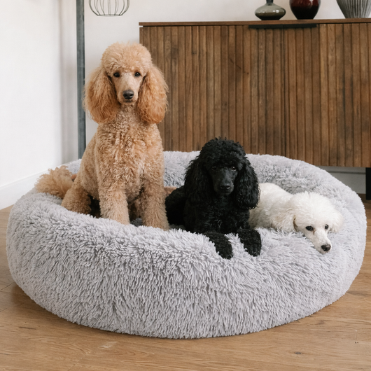 Panier Anti-Stress pour Chien – Coussin Apaisant