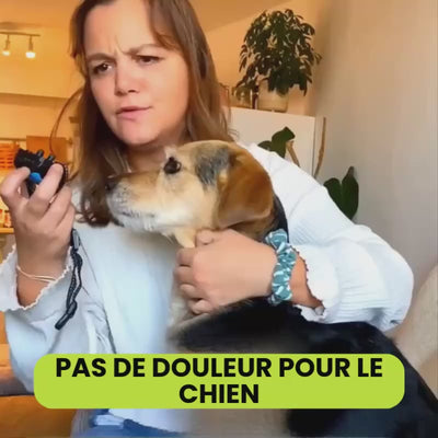 Collier anti-aboiement sans décharge
